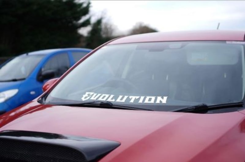 Evolution Sunstrip sticker.